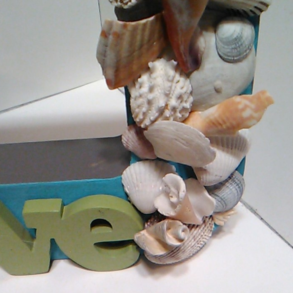 Shell Shelf Sitter - Picture 6 of 14